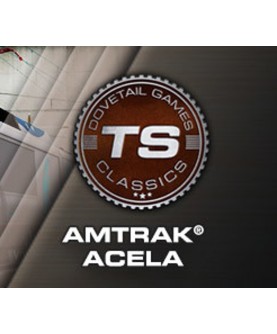 Train Simulator - Amtrak Acela Express EMU Add-On DLC Steam Key GLOBAL